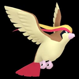 Pidgeot Pokemon team builder artwork
