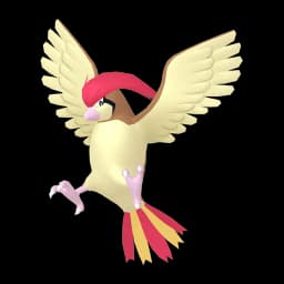 Pidgeotto Pokemon team builder artwork