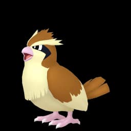 Pidgey Pokemon team builder artwork