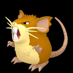 Raticate Pokemon team builder artwork