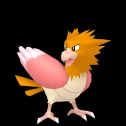 Spearow Pokemon team builder artwork